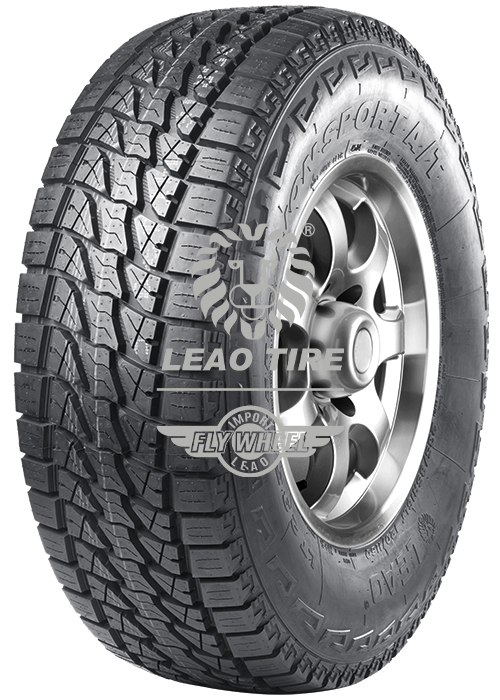 LION SPORT AT
